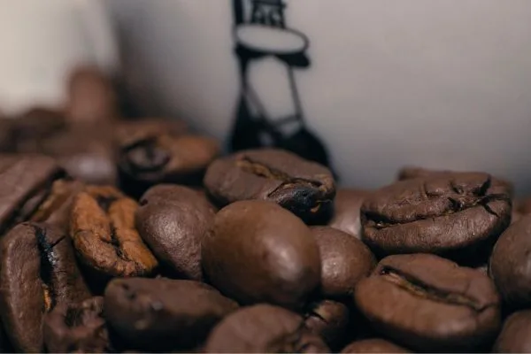 The Story of Arabica and Robusta: Two Beans, One World