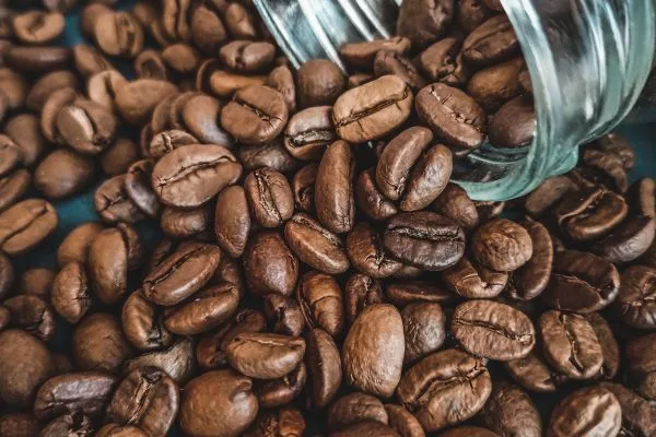 Why Does Coffee Smell So Good? The Science Behind Its Irresistible Aroma