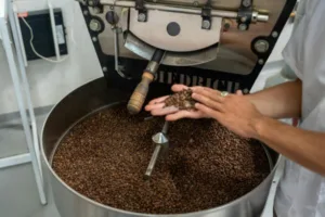 Types of Coffee Processing: Washed, Natural, and Honey Explained