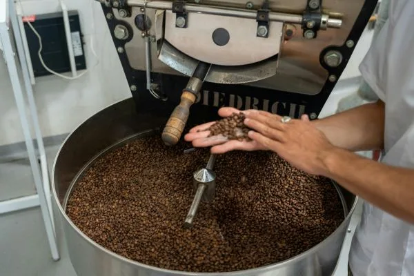 Types of Coffee Processing: Washed, Natural, and Honey Explained